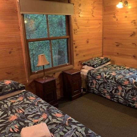 Springbrook Mountain Chalets 외부 사진