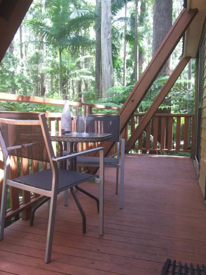 Springbrook Mountain Chalets 외부 사진