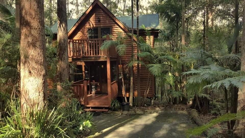 Springbrook Mountain Chalets 외부 사진