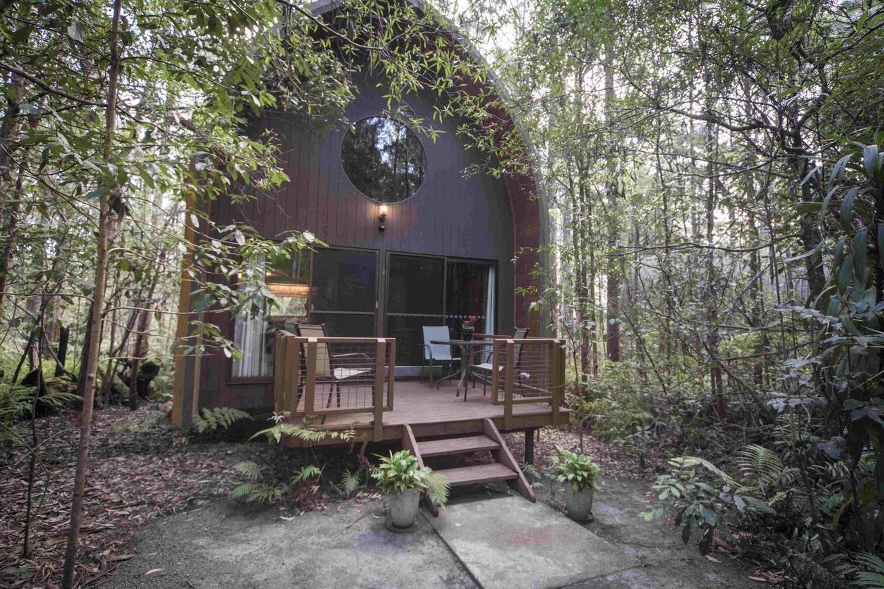 Springbrook Mountain Chalets 객실 사진