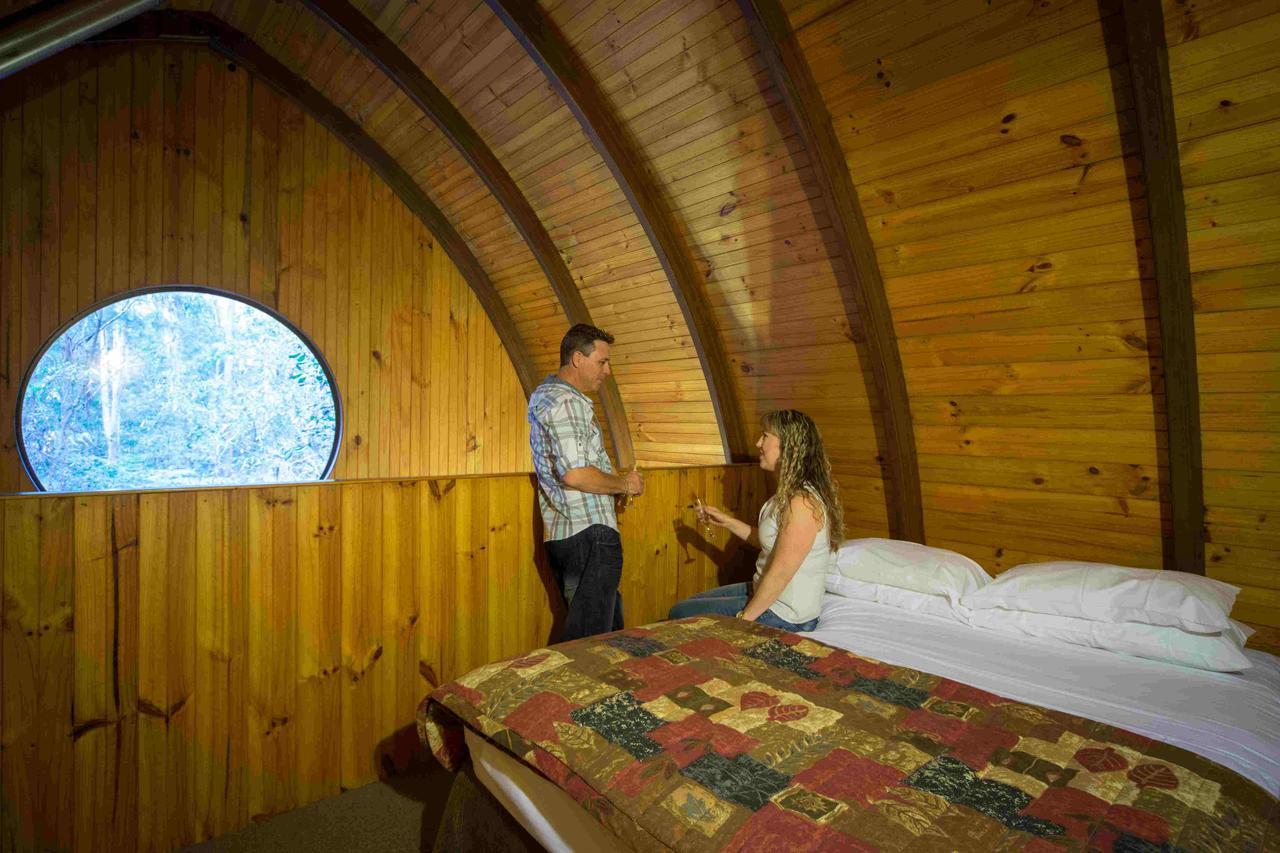 Springbrook Mountain Chalets 객실 사진