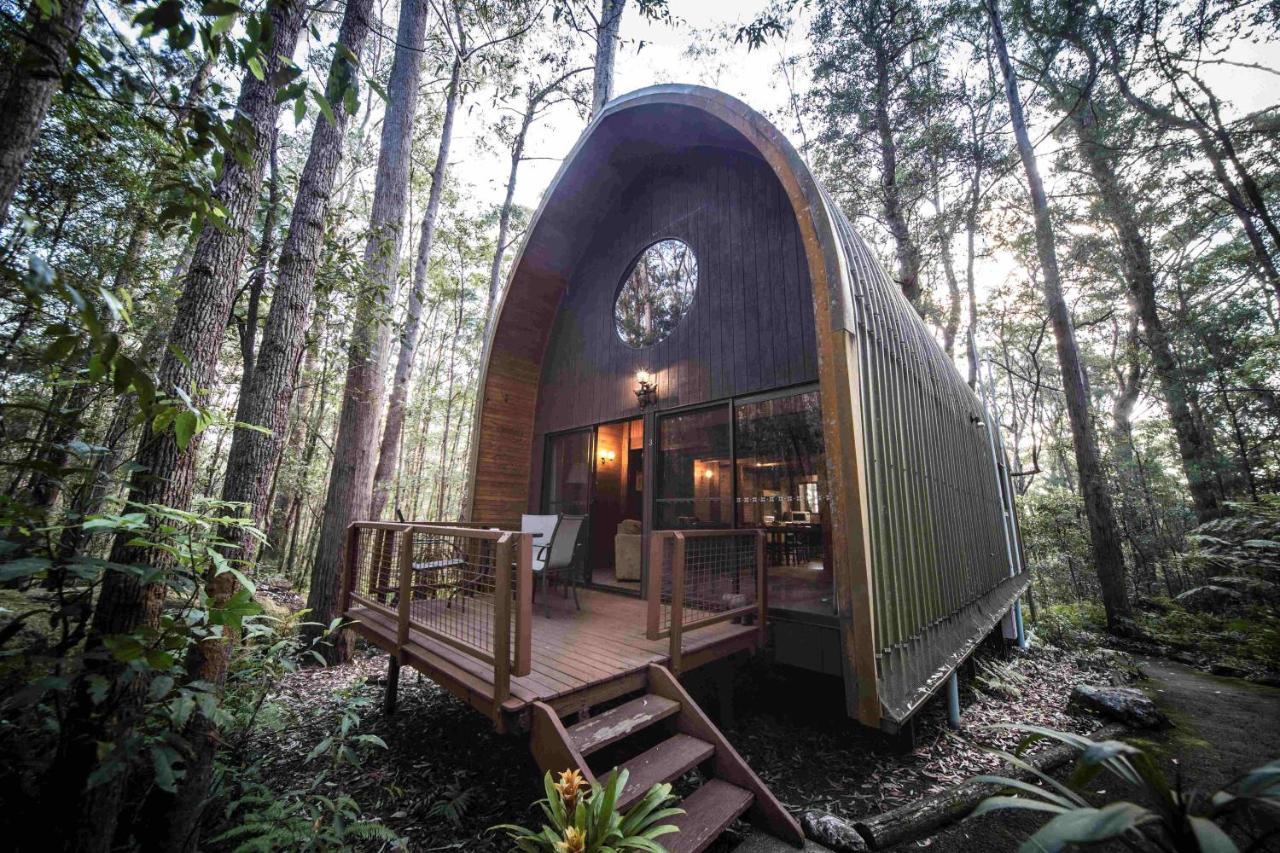 Springbrook Mountain Chalets 외부 사진